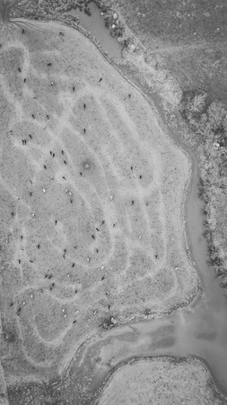 Agricultural and farming field in the countryside.の写真素材