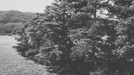 Agricultural and farming field in the countryside.の写真素材