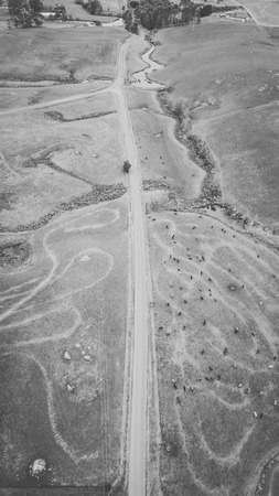 Agricultural and farming field in the countryside.の写真素材