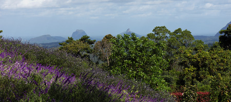 Mountain view of the Glass House Mountains Hinterlands in the afternoon.