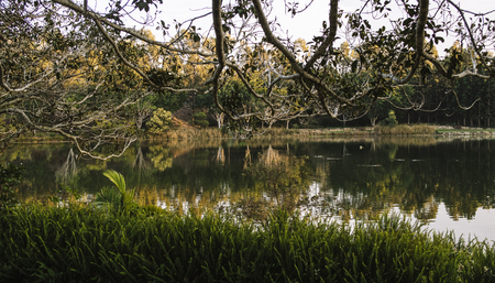 Beautiful lake in Springfield Lakes, Ipswich City, Queensland in the morning.の写真素材