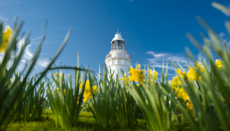 Beautiful Table Cape Lighthouse in Tasmania on a nice summers day.の写真素材