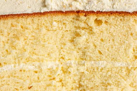 Classic rosette icing sponge cake. Detailed food background.の写真素材
