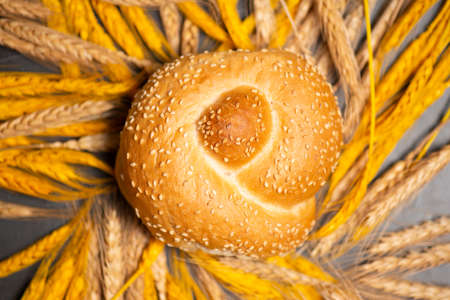 Delicious fresh baked knot bread roll with sesame seedsの写真素材