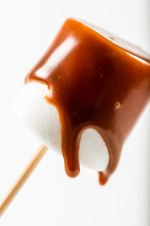 Delicious chocolate fondue and soft white marshmallow