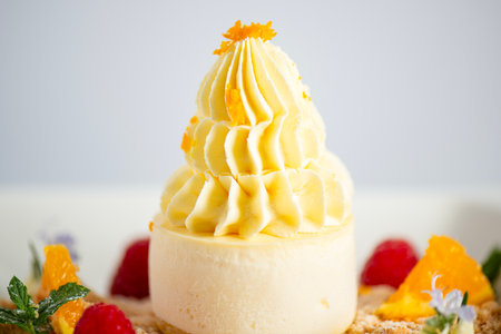 Soft and creamy orange and ricotta cheesecake accompanied with fresh fruit.の写真素材