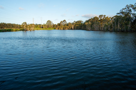 The scenic view at Sandy Camp Road Wetlands Reserve in Queensland, Australia.の写真素材