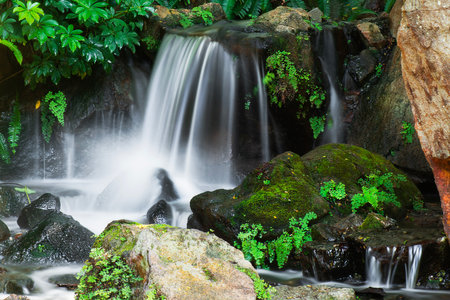 Picturesque small waterfall at Brisbane Botanic Gardens Mount Coot-tha.の写真素材