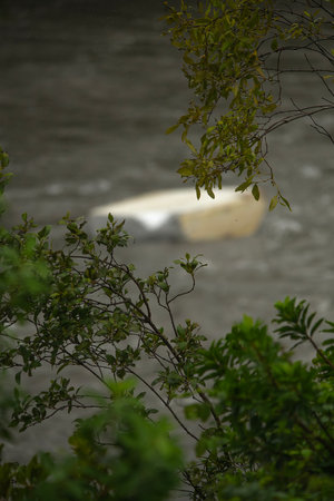 Local flood waters in Brisbane, Queensland after heavy rain caused by Cyclone Alfred.の写真素材