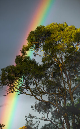 Vibrant rainbow filling the warm afternoon sky.の写真素材