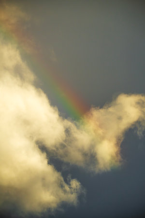Vibrant rainbow filling the warm afternoon sky.の写真素材