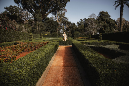 The gardens in Queens Park at Toowoomba in Queensland, Australia.の写真素材