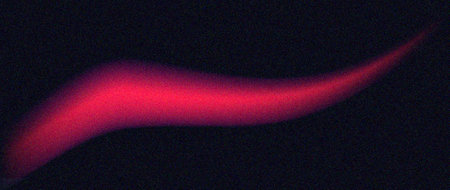 Abstract red wave on black background. Computer generated 3D photo rendering.