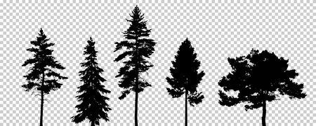 Tree set vector eps 10. Vector illustration on transparent background.のイラスト素材
