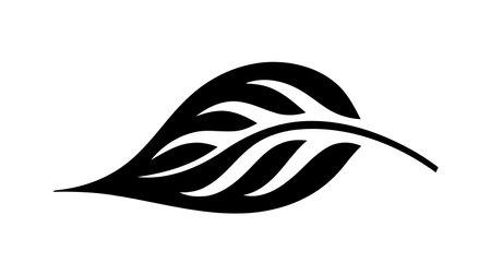 Eco icon black leaf vector illustration isolated on white background.のイラスト素材