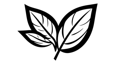 Eco icon black leaf vector illustration isolated on white background.のイラスト素材
