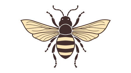 Vector black silhouette of a beetle isolated on a white background.のイラスト素材