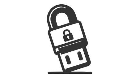 Flash drive security icon design. USB flash drive with padlock. isolated on white background. vector...