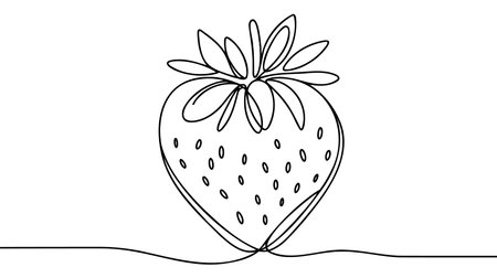 One continuous line drawing of isolated vector object - strawberry.のイラスト素材