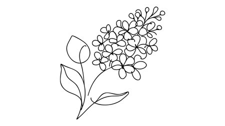 One continuous line drawing beauty fresh syringa vulgaris for garden logo. Printable decorative lilac flower concept for home decor wall art poster print. Single line draw design vector illustration.のイラスト素材