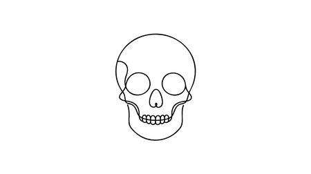 Continuous thin line human skull vector illustration, minimalist cranium sketch doodle. One line art skull icon, single outline drawing or simple skull logo.のイラスト素材