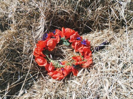 wreathの写真素材