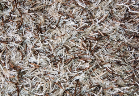 Doormatの写真素材