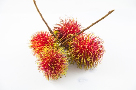 Rambutan fruit sweetの写真素材