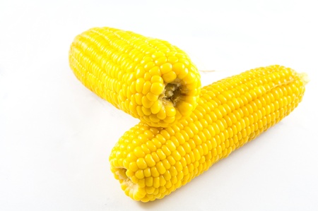 Corn on the cob isolated on whiteの写真素材