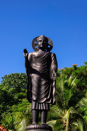 Buddha Statueの写真素材