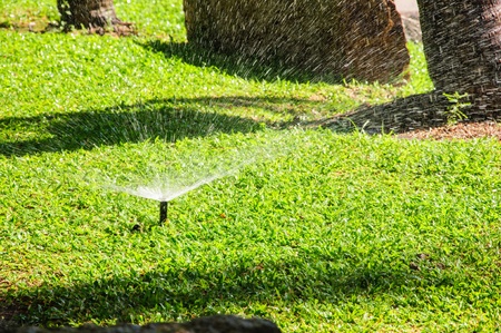 grass garden spring water in a rowの写真素材