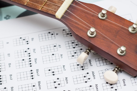 close up ukuleleの写真素材
