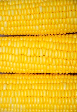 closeup of pictures, Fresh corn, Delicious food