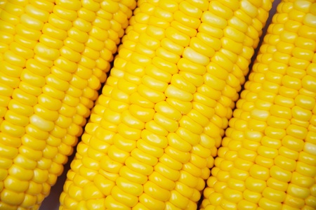closeup of pictures, Fresh corn, Delicious foodの写真素材