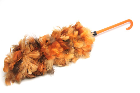 isolated feather dusterの写真素材