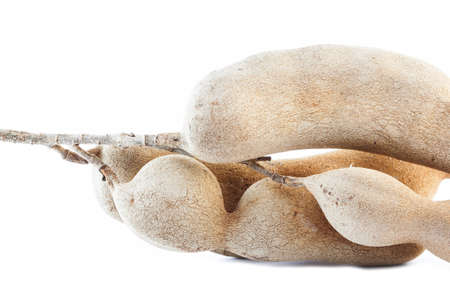 tamarind isolatedの写真素材
