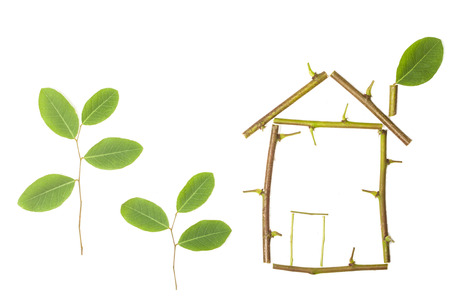 Wooden house and green leaves; green concept on white background.の写真素材