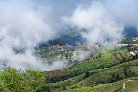 Nature landscape with foggy sea on the top of the mountain, Phu Thap Boek sea of fog In Phetchabun, Thailandの写真素材