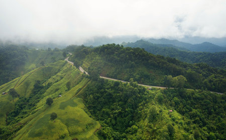 Woman doing fitness training. Fitness woman doing push ups on a training mat. young woman doing push-ups at the gym. Muscular female doing pushups on exercise mat at gym.の写真素材