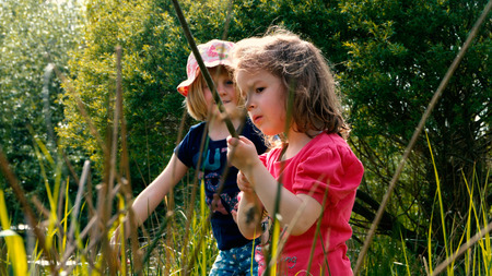 Two little girls go fishing together on a pond - part 3の写真素材