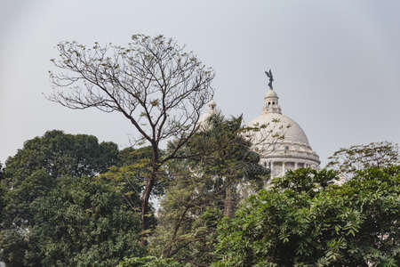 Trees with VIctoria Memorial Hall in Kolkata, Indiaのeditorial素材