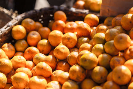 Oranges in the basket with light and shadow for sell at street local market in Darjeeling. India.の写真素材