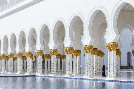 Decorated marble columns on the top with like golden palm with reflected pool in front of Sheikh...