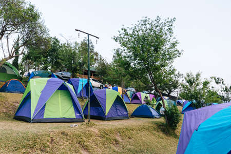 Camping area for tourists with many tents on grass amid trees, electricity posts and mountain in Chiang Mai, Thailand.のeditorial素材
