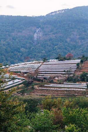 Spreading flower greenhouses near foothills in Chiang Mai, Thailand.の写真素材
