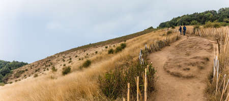 Panorama mountain with golden grass and green shrub with bamboo fence along the way to Kew Mae Pan...