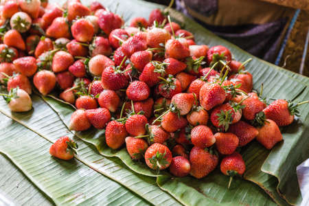 Strawberries on banana leaves for sell at the market in Chiang Mai, Thailand.の写真素材