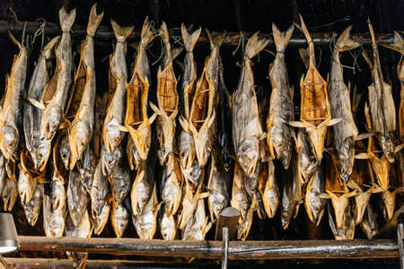 Dried salmons inside house of Shiraoi Ainu Village Museum in Hokkaido, Japan.のeditorial素材