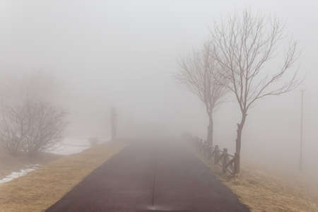 Leafless trees with tourist on path with fog at Mount Usu in winter in Hokkaido, Japan.の写真素材