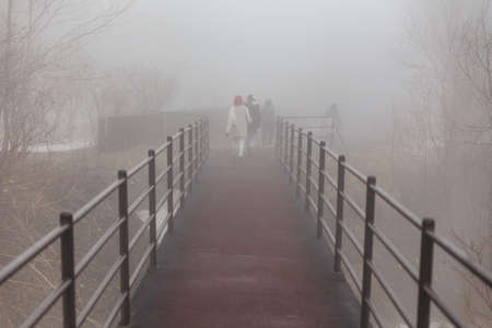 Walkway with Leafless trees and snow on the ground with fog at Mount Usu in winter in Hokkaido, Japan.の写真素材